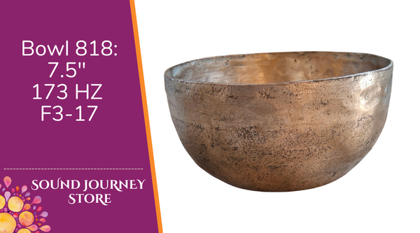 Bowl 818: 7.5" Antique Himalayan Singing Bowl 173 HZ F3-17