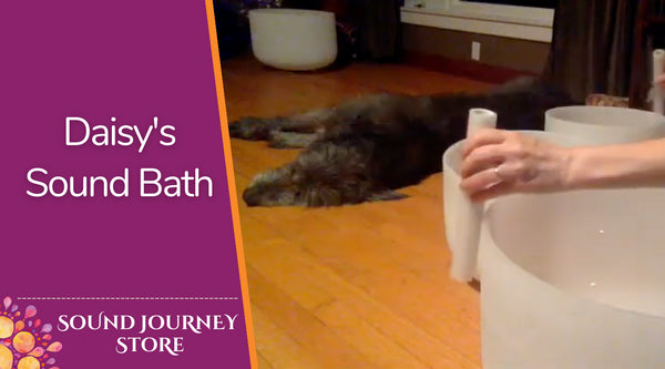 Daisy's Sound Bath - F3 G3 A3 B3 C4 D4 F4 C5 D5