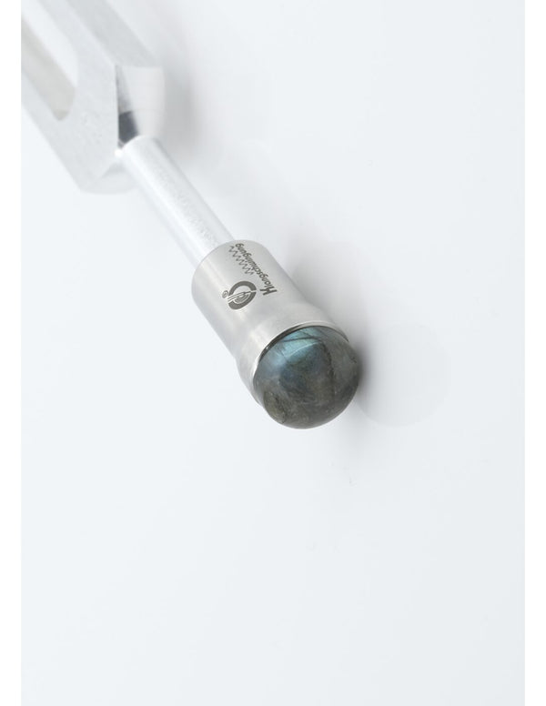 All Our Biosonics Gem Feet - 15mm - Variety of Gem Stones