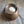 Bowl 900: 6.5
