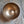 Bowl 810: 7.25