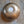 Bowl 810: 7.25