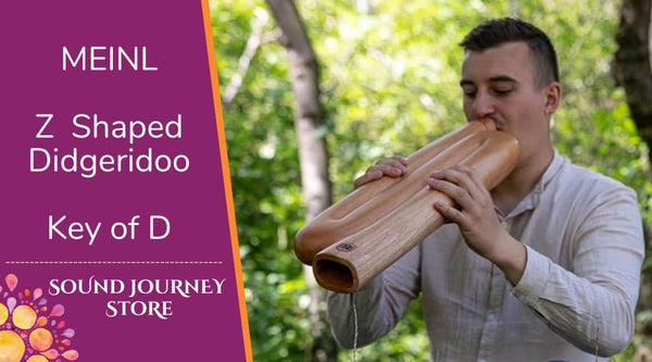 Meinl Z-Shaped Didgeridoo: Key of D
