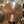 32” Wind Gong 79.1 hz D#2+29