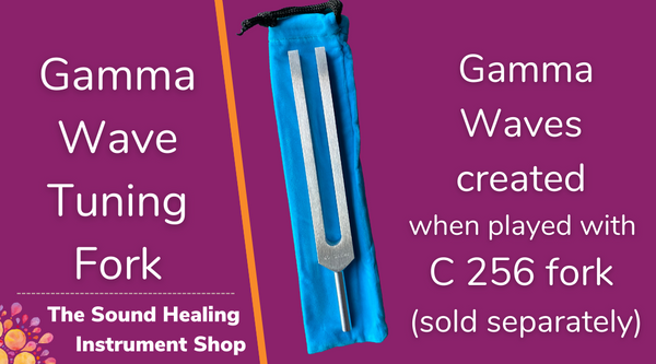 Biosonics Gamma Tuning Fork