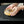 HOKEMA - Sansula Melody Renaissance with Bag